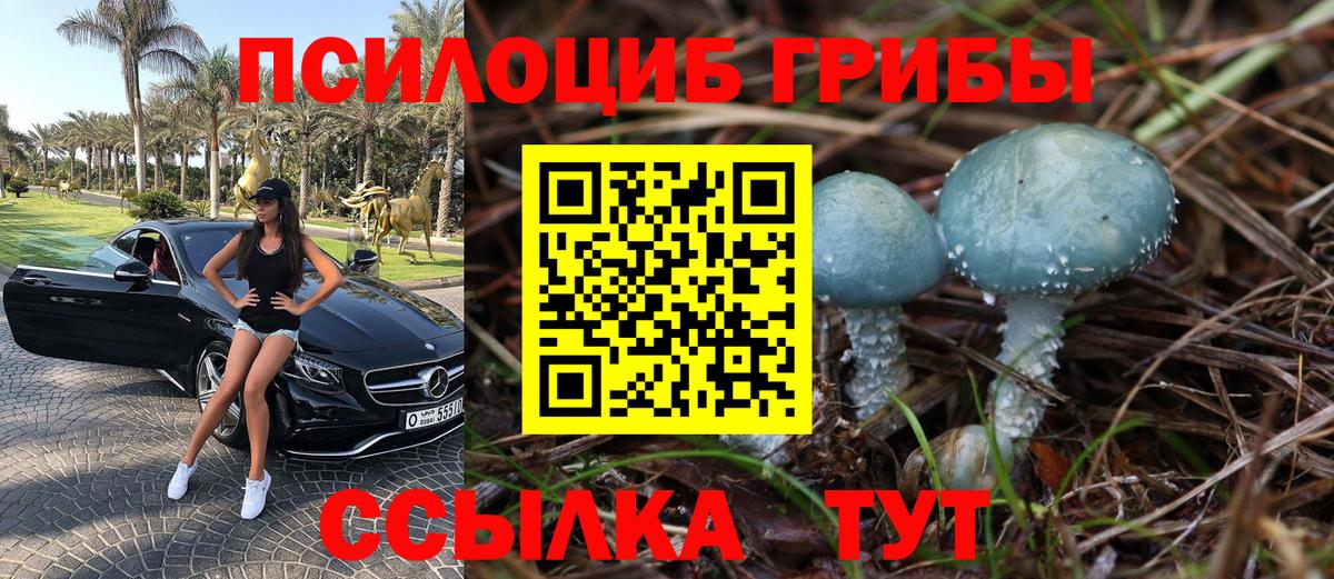Галлюциногенные грибы Cubensis Чебаркуль